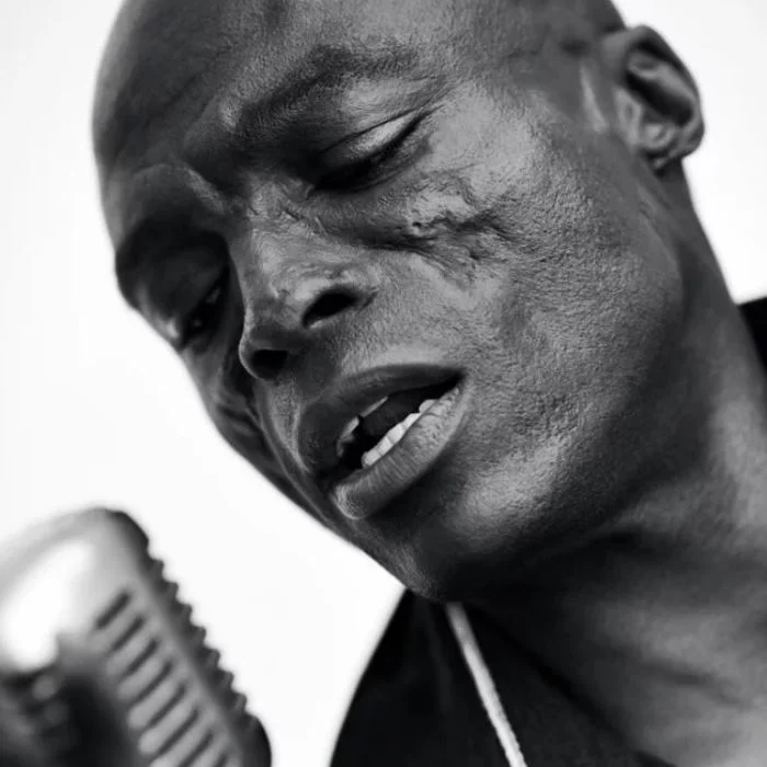 SEAL CHANTEUR BRITANNIQUE : BIOGRAPHIE, CARRIÈRE ET HÉRITAGE
