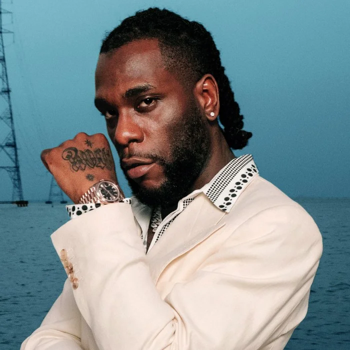 BURNABOY : LE ROI DE L'AFROBEATS