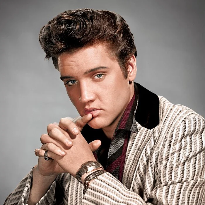 ELVIS PRESLEY : LE ROI DU ROCK