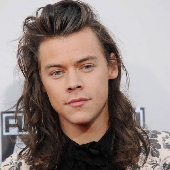 HARRY STYLES : L'ICÔNE POP