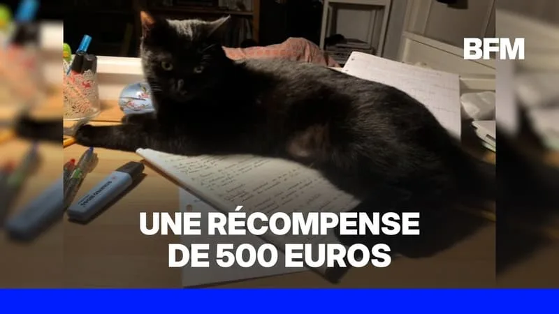 UNE FAMILLE RESTE 12 JOURS SUR UNE AIRE D’AUTOROUTE APRÈS LA DISPARITION DE SON CHAT