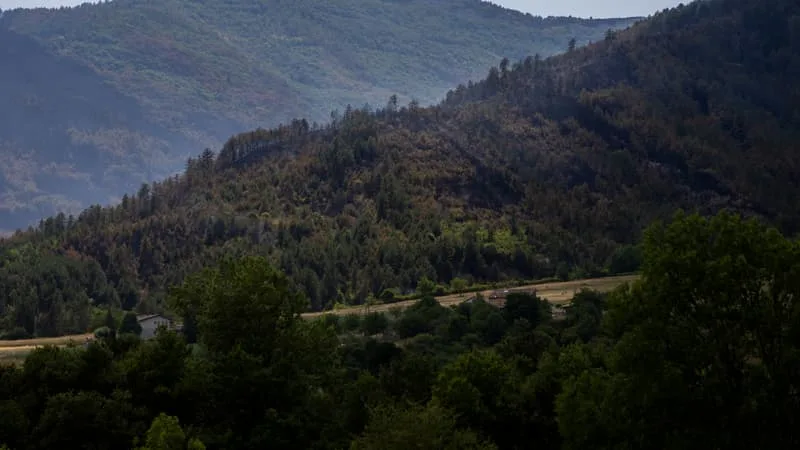 L’INCENDIE QUI A PARCOURU PLUS DE 300 HECTARES DANS LA DRÔME EST « STABILISÉ », DEUX REPRISES DE FEU « CONTENUES » SURVEILLÉES