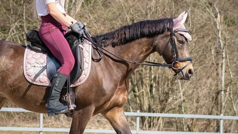 UNE ENQUÊTE OUVERTE APRÈS LA MORT D’UNE ADOLESCENTE DE 12 ANS DES SUITES D’UNE CHUTE À CHEVAL DANS L’AVEYRON