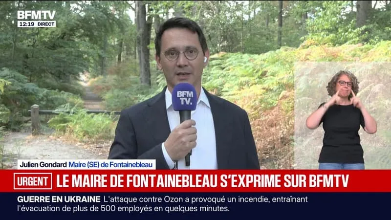 INCENDIE: LE MAIRE DE FONTAINEBLEAU SE DIT « SOULAGÉ » APRÈS LA RÉOUVERTURE D’UNE GRANDE PARTIE DE LA FORÊT APRÈS LES FEUX DE JUILLET