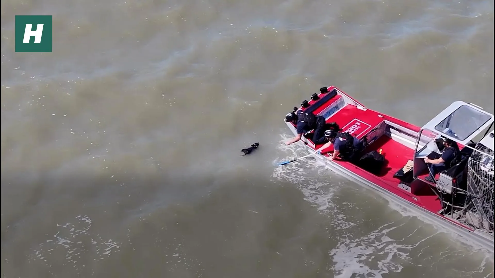 EN CALIFORNIE, CE PETIT CHIEN A ÉTÉ SAUVÉ DES EAUX DEUX SEMAINES APRÈS SA DISPARITION