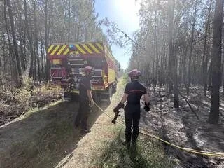 UNE CENTAINE D’HECTARES BRÛLÉS, 160 POMPIERS MOBILISÉS : CE QUE L’ON SAIT DU FEU QUI RAVAGE UNE FORÊT DU MAINE-ET-LOIRE
