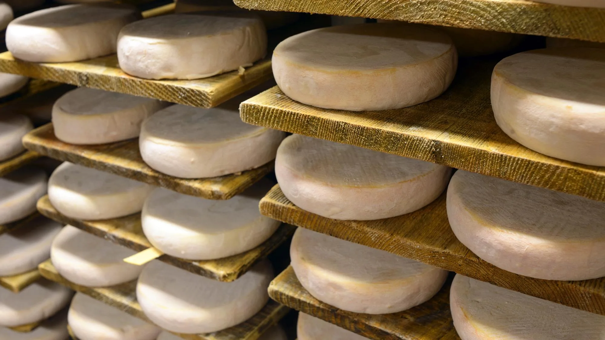 REBLOCHON, COMTÉ… LA SÉCHERESSE A MÊME UN IMPACT SUR LA FABRICATION DES FROMAGES