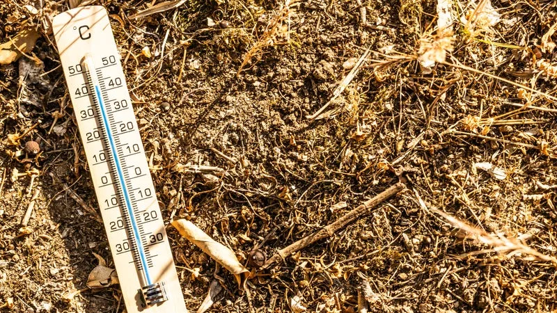 CANICULE: SEPT DÉPARTEMENTS PLACÉS CE SAMEDI EN VIGILANCE ORANGE PAR MÉTÉO-FRANCE