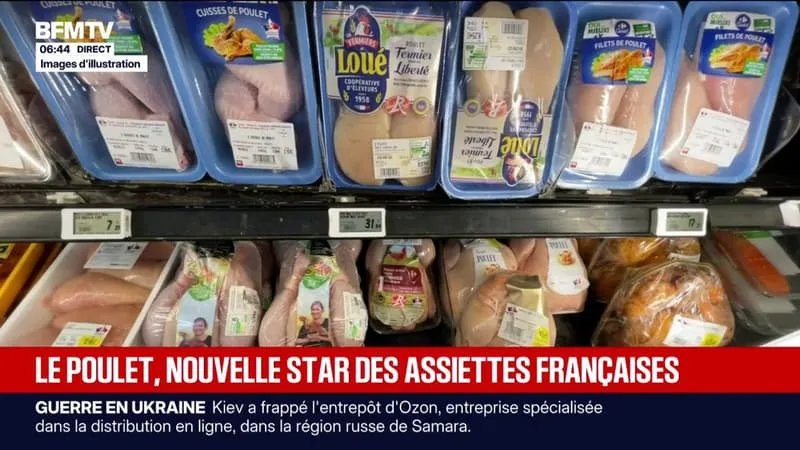 CONSOMMATION: LES VENTES DE POULET S’ENVOLENT EN FRANCE, LES ÉLEVEURS FRANÇAIS PEINENT À SUIVRE LA DEMANDE