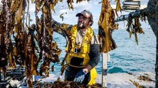 EN IMAGES. EN BRETAGNE, CES MARINS CULTIVENT DES ALGUES EN PLEINE MER SELON UN SAVOIR-FAIRE ASIATIQUE