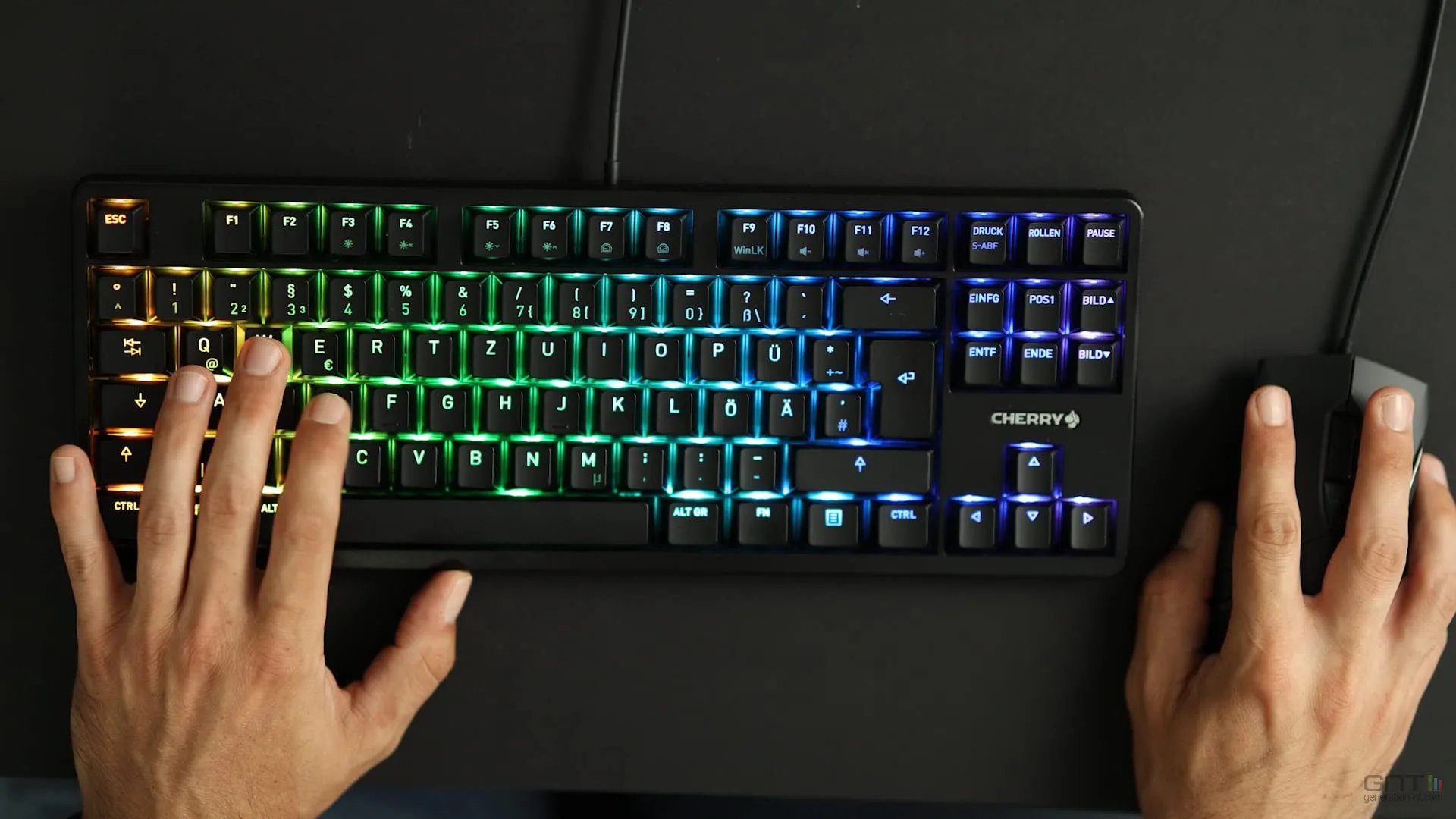WINDOWS 11 ACCUSE VOS LED RGB DE FAIRE PLANTER VOS JEUX