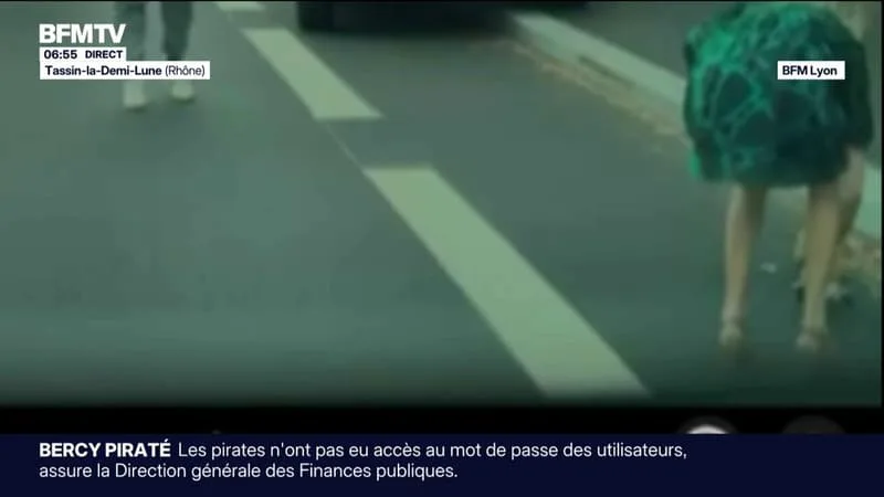 LE SORT D’UN RENARD MORDEUR FAIT DÉBAT À TASSIN-LA-DEMI-LUNE (RHÔNE)