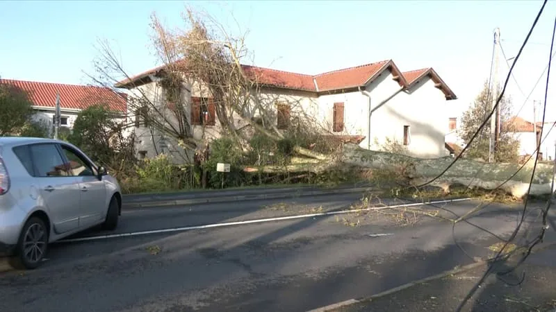 « C’ÉTAIT VIOLENT »: APRÈS L’ORAGE QUI A BALAYÉ LES LANDES, LES HABITANTS CONSTATENT LES DÉGÂTS