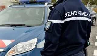 UN TROUPEAU DE MOUTONS DÉCIMÉ PAR DEUX CHIENS EN NORMANDIE, LE MAIRE NE DÉCOLÈRE PAS : « C’EST INADMISSIBLE »