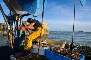 DES CHANGEMENTS « VITAUX » : UNE 16E ÉDITION DES ASSISES DE LA PÊCHE SOUS TENSION À CHERBOURG
