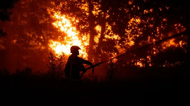 CONTRE-FEU, FORESTAGE, COUPE TACTIQUE… QUELLES SONT LES TECHNIQUES DES POMPIERS POUR EMPÊCHER UN FEU DE SE PROPAGER?