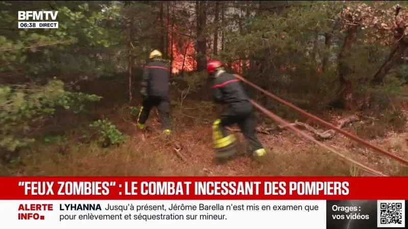 APRÈS AVOIR FIXÉ L’INCENDIE DE FONTAINEBLEAU, LES POMPIERS CONTINUENT DE LUTTER CONTRE « LES FEUX ZOMBIES »