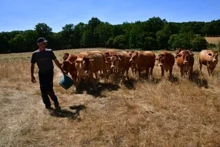 REPORTAGE. EN CREUSE, UNE SÉCHERESSE HISTORIQUE MENACE L’AGRICULTURE : « LE CLIMAT REBAT TOUTES LES CARTES »