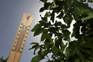 CANICULE : EN QUOI CONSISTE LA VIGILANCE ROUGE QUI POURRAIT ÊTRE ACTIVÉE DANS PLUSIEURS DÉPARTEMENTS DÈS DIMANCHE ?