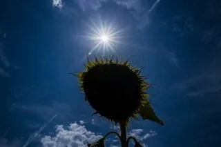 LA CANICULE S’ÉTEND EN FRANCE, DANS UNE EUROPE QUI AFFRONTE UNE NOUVELLE VAGUE DE CHALEUR