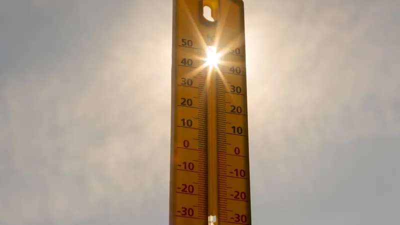 « PRÈS DE 3.000 DÉCÈS »: LA MORTALITÉ EN ÎLE-DE-FRANCE A PLUS QUE DOUBLÉ PAR RAPPORT À LA NORMALE DURANT LA CANICULE DE FIN JUIN