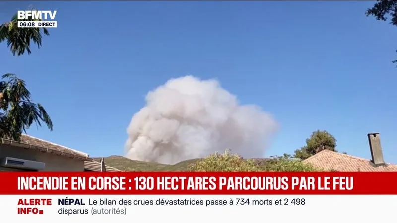 INCENDIE EN CORSE: 130 HECTARES PARCOURUS PAR LE FEU