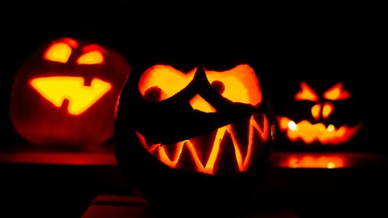 800M² DE PLAYMOBIL, CONCERT DE LETO ET CIRQUE: LES ÉVÉNEMENTS À NE PAS RATER CE WEEK-END D’HALLOWEEN EN ESSONNE