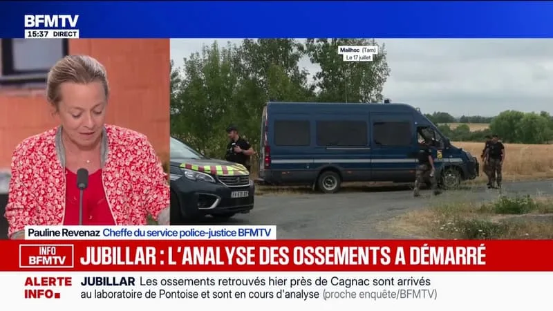 LA VERSION DE CÉDRIC JUBILLAR SUR LA NUIT DE LA DISPARITION DE DELPHINE, LORS DE SON AUDITION CE MERCREDI