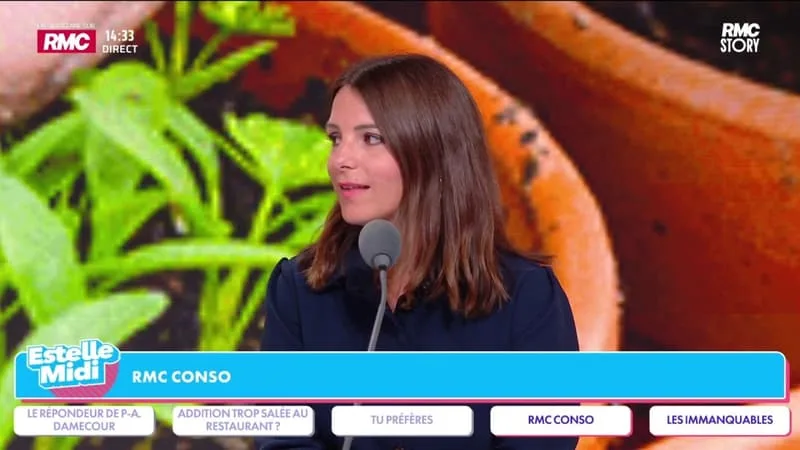 COMMENT TROUVER DES PLANTES À PETIT PRIX ?