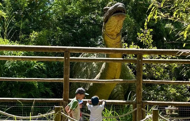 HARRY POTTER WORLD, MARIOLAND, JULES VERNE SPACE… CES PARCS D’ATTRACTIONS QUI FONT RÊVER LES FRANÇAIS