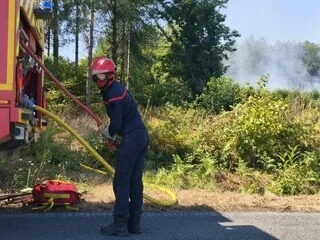 IMPORTANT INCENDIE EN MAINE-ET-LOIRE : « LE FEU NE PROGRESSE PLUS » À MIDI, UNE REPRISE REDOUTÉE À CAUSE DE LA MÉTÉO