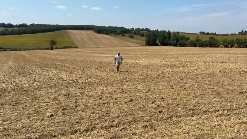 LA PRODUCTION AGRICOLE FRANÇAISE DEVRAIT CHUTER DE 8%: BERCY ESTIME QUE LES CANICULES ET LA SÉCHERESSE DE L’ÉTÉ COÛTERONT 0,1 POINT DE PIB EN 2026