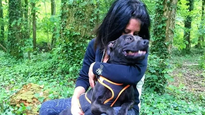 MORT D’ELISA PILARSKI: CHRISTOPHE ELLUL CONDAMNÉ À DE LA PRISON AVEC SURSIS, L’EUTHANASIE DU CHIEN CURTIS ORDONNÉE