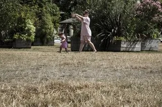 JARDIN JAUNI PENDANT L’ÉTÉ : COMMENT ET QUAND RELANCER SA PELOUSE APRÈS LES FORTES CHALEURS ? ON VOUS RÉPOND