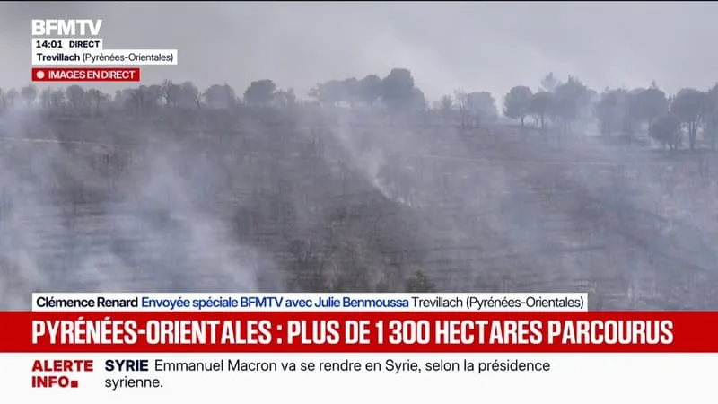« 1.500 HECTARES PARCOURUS PAR LE BRASIER » DANS LES PYRÉNÉES-ORIENTALES