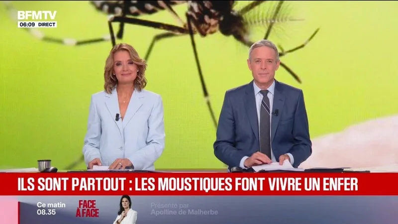 CHALEUR: LES MOUSTIQUES SONT TOUJOURS LÀ
