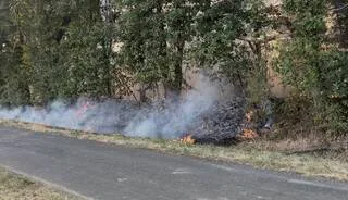 « C’EST COMME UNE ALLUMETTE » : DANS CETTE FORÊT DE MAINE-ET-LOIRE, L’INCENDIE RESTE DIFFICILE À CONTRÔLER