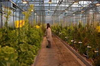 ENTRETIEN. « UNE VRAIE CHANCE POUR L’EUROPE » : COMMENT LE PLUS GRAND SEMENCIER FRANÇAIS SE PRÉPARE AUX « NOUVEAUX OGM »
