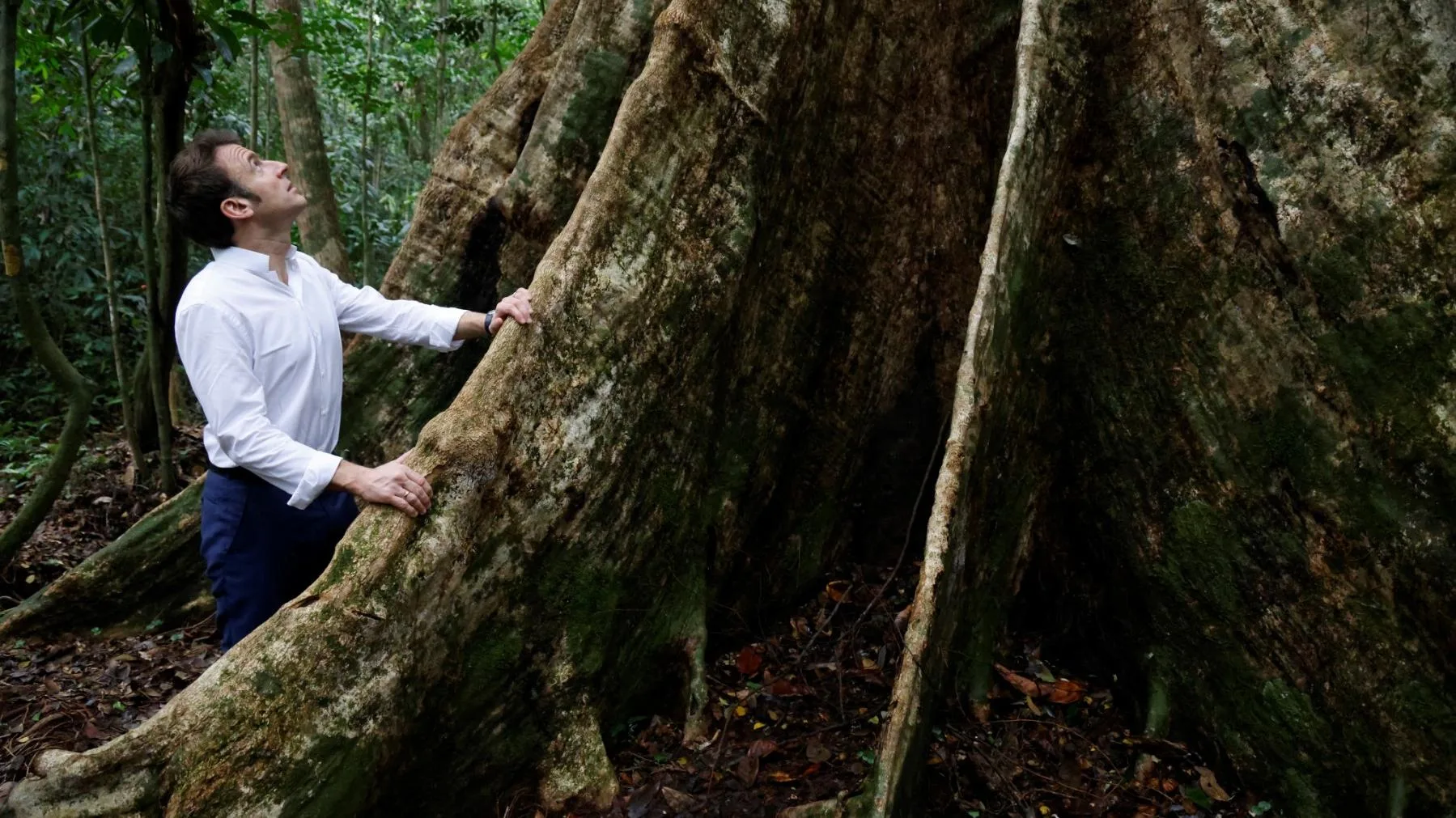 L’ADAPTATION DES FORÊTS, LE DÉFI ÉCOLOGIQUE QUI RATTRAPE MACRON ET SES ASPIRANTS SUCCESSEURS