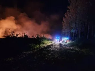 EN IMAGES. 11 HECTARES DE FORÊT PARTENT EN FUMÉE DANS LE MAINE-ET-LOIRE