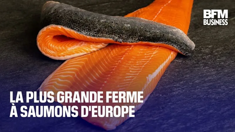 LA PLUS GRANDE FERME À SAUMONS D’EUROPE