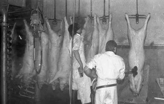 « LA PREMIÈRE JOURNÉE, C’ÉTAIT LE CHOC ! » : L’ÉTÉ, TOUS LES JEUNES DE SON VILLAGE TRAVAILLAIENT DANS L’USINE À COCHONS
