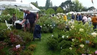 FOLIE DES PLANTES, FÊTE DE LA ROSE, COULEURS D’AUTOMNE… LES ÉVÉNEMENTS À NE PAS MANQUER EN SEPTEMBRE AU JARDIN
