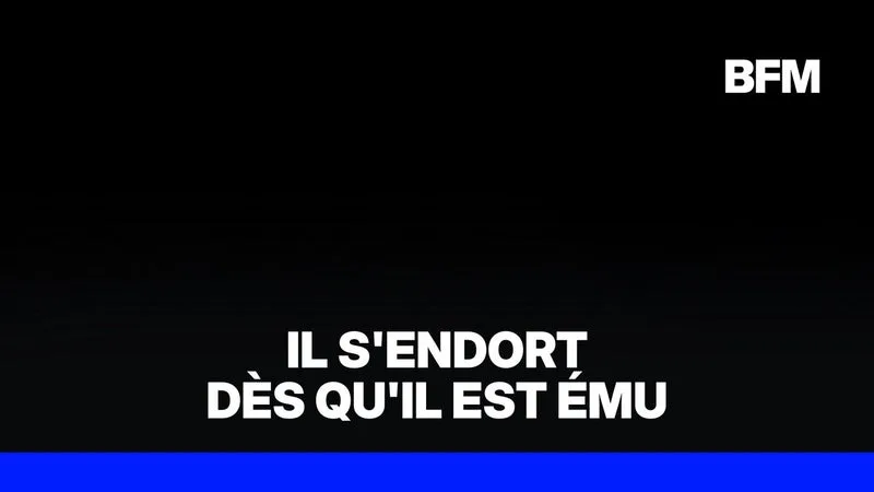 CE JEUNE COCKER ATTEINT DE NARCOLEPSIE S’ENDORT DÈS QU’IL EST ÉMU