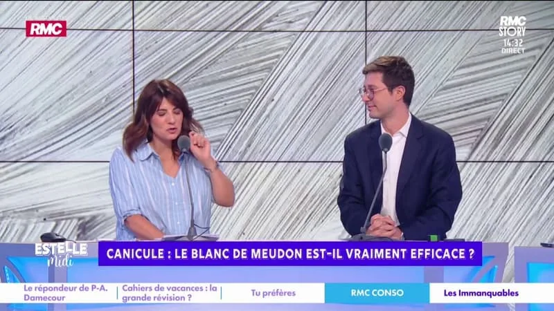CANICULE : LE BLANC DE MEUDON EST-IL VRAIMENT EFFICACE ?