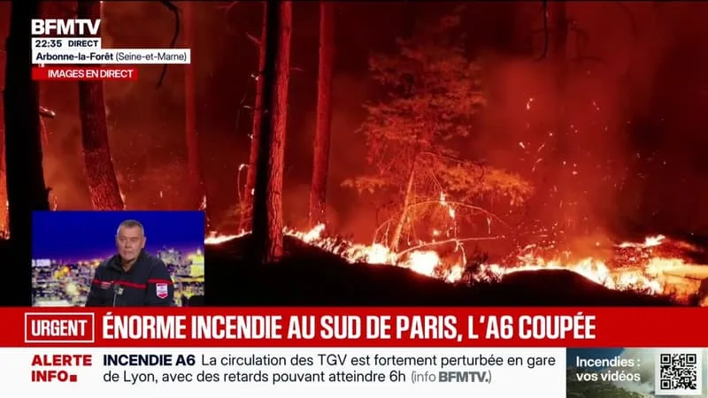 INCENDIE DANS LA FORÊT DE FONTAINEBLEAU: « MALGRÉ LES MOYENS AÉRIENS, LE FEU CONTINUE DE PROGRESSER », INDIQUE LE LIEUTENANT-COLONEL PASCAL REVERSAT