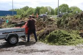 DÉCHETS VÉGÉTAUX : MA VOISINE STOCKE DES ARBRES MORTS HAUTEMENT INFLAMMABLES DANS SON JARDIN, QUELS SONT MES RECOURS ?