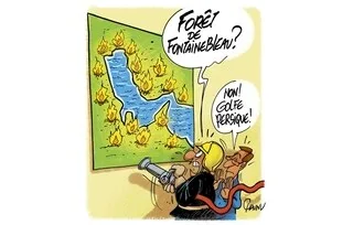 LE DESSIN DE CHAUNU : LE GOLFE PERSIQUE S’EMBRASE