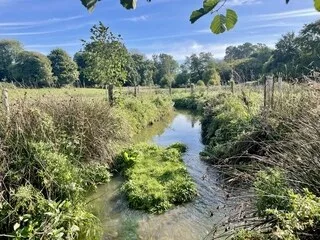 « L’HERBE EST RESTÉE VERTE MALGRÉ LA SÉCHERESSE » : CETTE RIVIÈRE RESTAURÉE EN ILLE-ET-VILAINE A RETENU L’EAU CET ÉTÉ