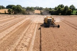 LOI D’URGENCE AGRICOLE : DES ASSOCIATIONS INTERPELLENT LE CONSEIL CONSTITUTIONNEL ET SOUTIENNENT SA SAISIE